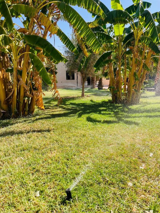 Villa Msholidays Victoria Privatisee Marrakech Marrakesh Exterior photo
